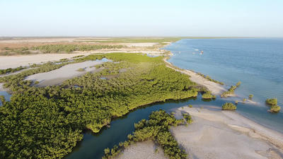 Sine-Saloum