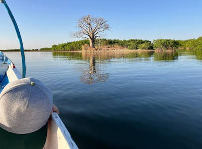 Sine-Saloum